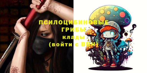 a pvp Алзамай